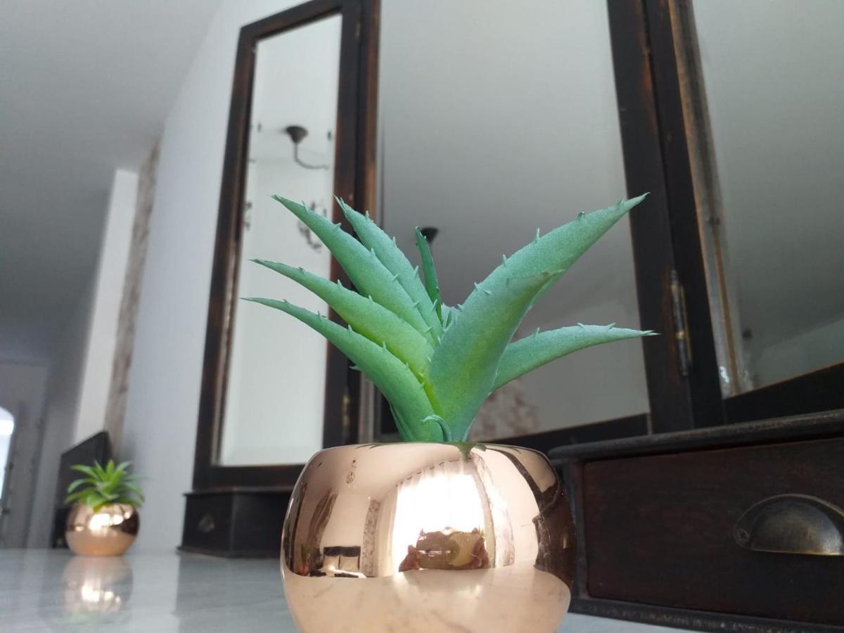Loft 113 Διαμέρισμα Κοραλέχο Εξωτερικό φωτογραφία